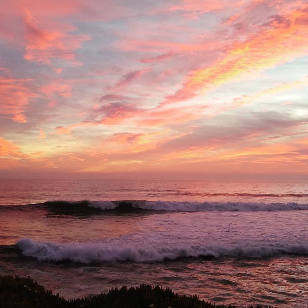 Meet your Posher, Noe